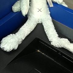 Przytulanka, zgłoszono przez IKEA Hasselt przy użyciu iLost