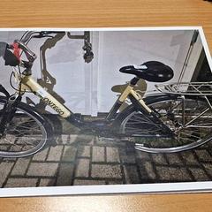 Damenrad, gemeldet von Gemeente Roermond über iLost