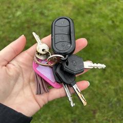 Sleutelbos, iLost'a bildirildiği gibi