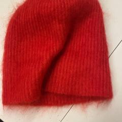 Beanie, as reported by GVB using iLost