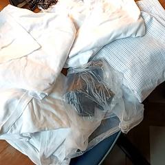 의류, iLost를 사용하여 BOAT&CO에 보고됨