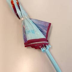 Paraplu, zoals gemeld door Regio Limburg - Leuven met iLost