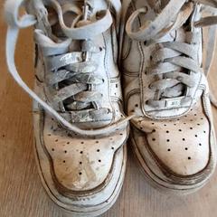 신발 Schoenen, iLost를 사용하여 Zwarte Cross (Gemeentehuis)에 보고됨