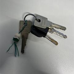 Chave Nijntje zonder oortjes sleutel hanger, como reportado por TU/e - Receptie Matrix utilizando o iLost