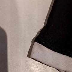 Vesta, ako bolo nahlásené De Efteling pomocou iLost