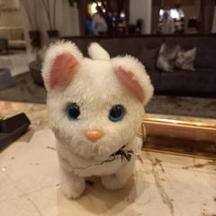 Knuffel, ako bolo nahlásené Van der Valk Hotel Gorinchem pomocou iLost