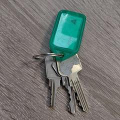 Chiavi, come riportato da EBS OV Poeldijk utilizzando iLost