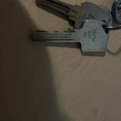 키체인, iLost를 사용하여 Jaarbeurs에 보고됨