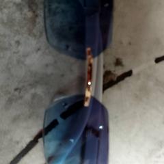 Sack & Brille, gemeldet von Regio Antwerpen - Brussel über iLost