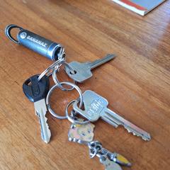 sleutelbos, som rapportert til iLost