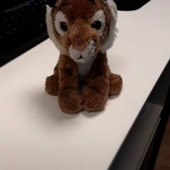 Knuffel, zoals gemeld door Diergaarde Blijdorp met iLost