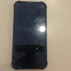 Iphone, som rapportert av Walibi Holland ved bruk av iLost