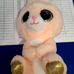 Plyšová hračka Lapin, ako bolo nahlásené IKEA Caen Fleury-sur-Orne pomocou iLost