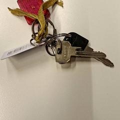 Nyckelring, rapporterat av Gemeente Hilversum med iLost