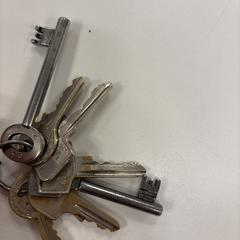 Sleutelbos, jak bylo nahlášeno na iLost