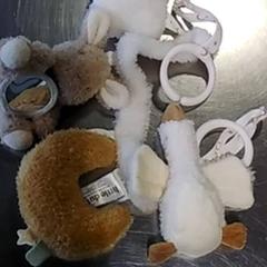 Wagenspanner, amint azt Burgers' Zoo az iLost segítségével jelentette.