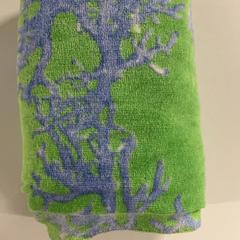 ビーチタオル がiLostで Silver Sands Beach によって報告されました