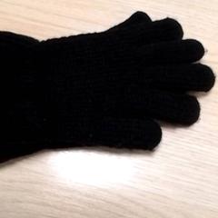 Gloves, as reported by Qbuzz Fryslân using iLost
