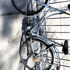 Bicicleta de mujer Gazelle, ha sido reportado por Stadswerk072 con iLost