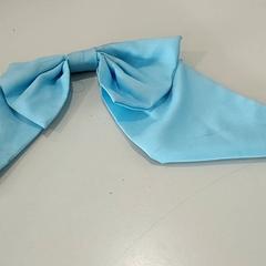 Odzież - Strik lichtblauw, zgłoszono przez Regio Oost-Vlaanderen przy użyciu iLost