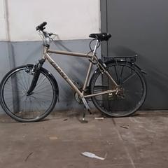 Bicicleta masculina Giant Goud, segons ha informat Fietsdepot Hasselt mitjançant iLost