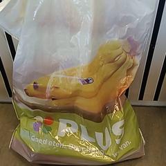 Bolsa, ha sido reportado por U-OV Amersfoort con iLost