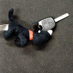 Autoaren giltza Hanger takki, hondje, gisa salatu by Qbuzz GD Groningen Peizerweg iLost erabiliz