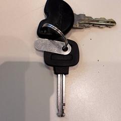 Nyckel Twee sleutels zwart, rapporterat av LUMC med iLost