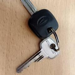 Chiavi, come riportato da Qbuzz GD Groningen Peizerweg utilizzando iLost