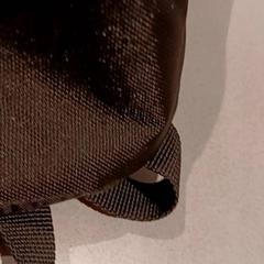 Bossa, segons ha informat De Efteling mitjançant iLost