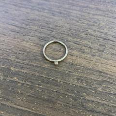 Ring, gemeldet von Pathé Leeuwarden über iLost