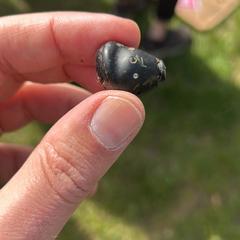 Black EarPod, left がiLostに報告されました