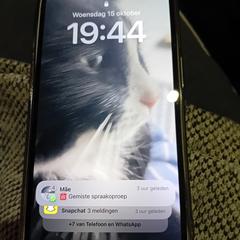 Iphone  witte achterkant, jak bylo nahlášeno na iLost