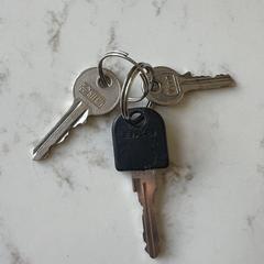 A set of keys, gerapporteerd met iLost