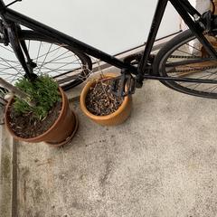Fiets がiLostに報告されました