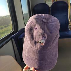 Paarse pet met duif, iLost-i jakinarazi zaion moduan