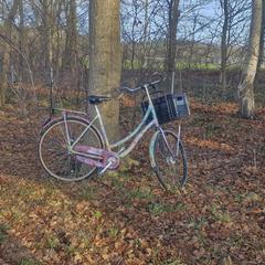 Damesfiets met mand, iLost'a bildirildiği gibi