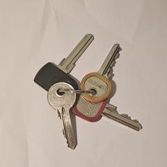 Sleutelbos met 4 sleutels, segons s'ha informat a iLost