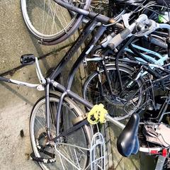 Damcykel gazelle, rapporterat av Stadswerk072 med iLost