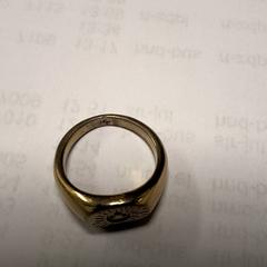 반지, iLost를 사용하여 Transdev Hoeksche Waard Goeree Overflakkee에 보고됨