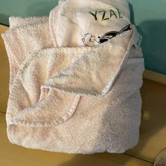 Towel handoe, as reported by Familie Resort Molenwaard using iLost