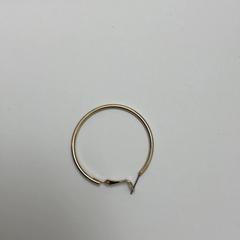 Boucle d'oreille, a été signalé par Schönbrunn "Group Center" utilisant iLost