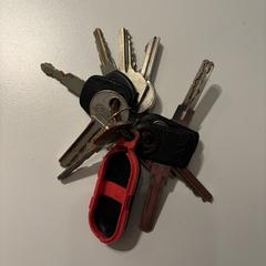 Sleutelbos, iLost'a bildirildiği gibi