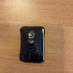 İLost kullanarak Gemeente Amsterdam tarafından bildirildiği gibi Cüzdan Navarro ruben