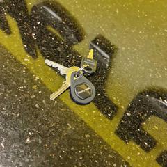Keys, as reported by Hertz using iLost