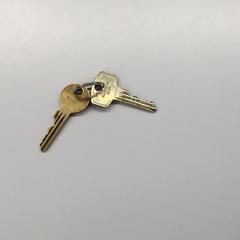 Sleutelbos, amint azt Gemeente Weert az iLost segítségével jelentette.