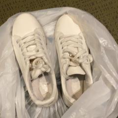 Shoe, as reported by MEININGER Hotel Bremen Hauptbahnhof using iLost