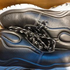 schoenen in een doos, som rapporterats till iLost