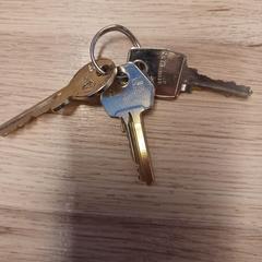 Kruizing Reestraat/Prinsengracht, gerapporteerd met iLost