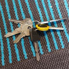 Sleutelbos, as reported to iLost